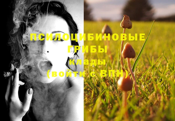мескалин Зерноград