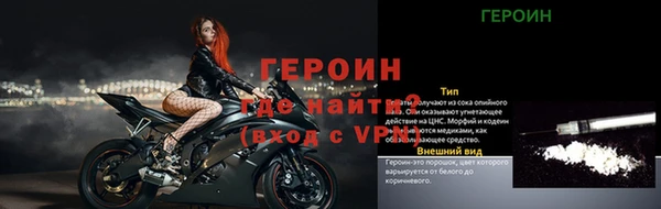 прущие грибы Архангельск