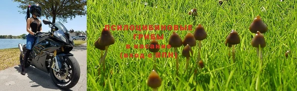 спайс Нижний Тагил