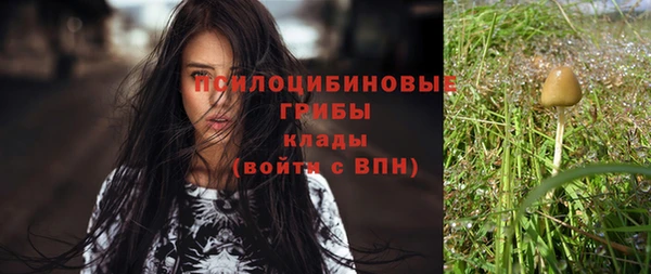 герыч Семилуки