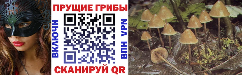 Галлюциногенные грибы Magic Shrooms  купить наркотик  Сенгилей 